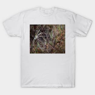 Spider Web with Water Doplets on a Foggy Morning T-Shirt